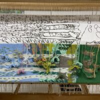 What Do You See in Progress